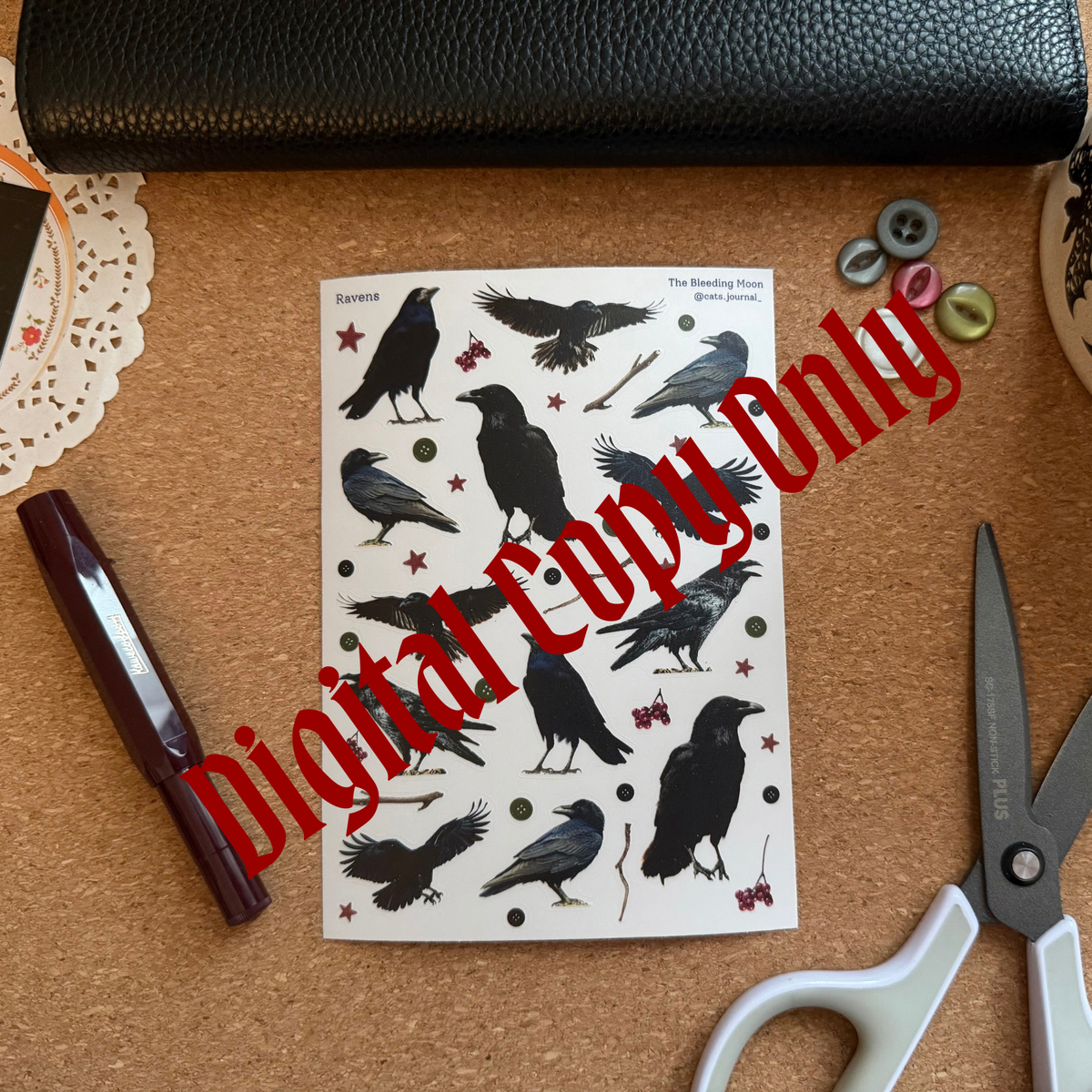 Raven Stickers Digital 🖥️🐦‍⬛