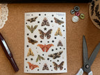 Moth Stickers 💡