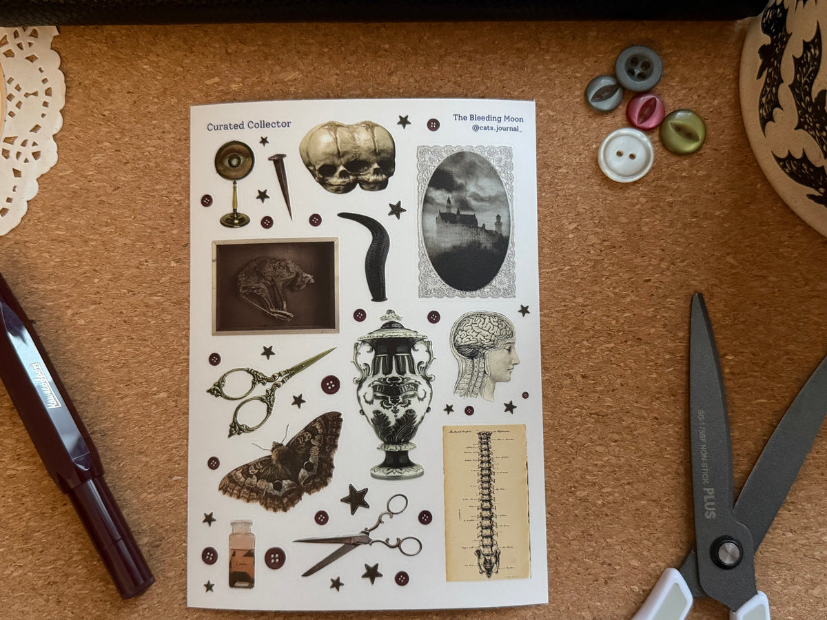 Curated Collector Stickers 🦴