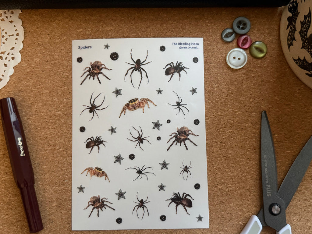 Spiders Stickers 🕷️