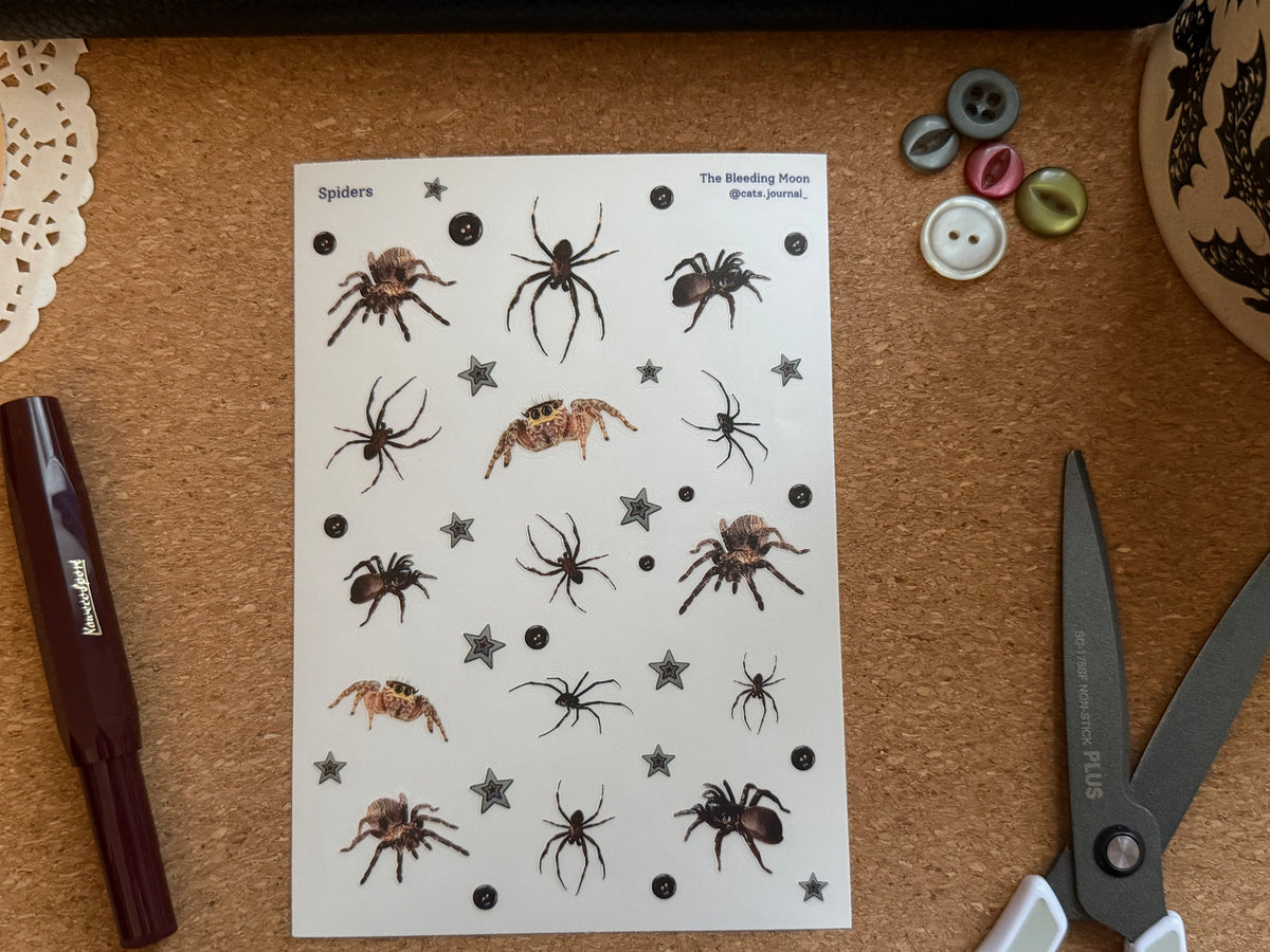 Spiders Stickers 🕷️