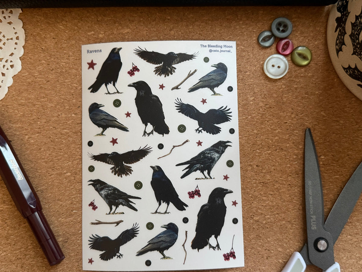Raven Stickers 🐦‍⬛