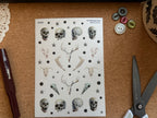 Skulls Stickers 💀